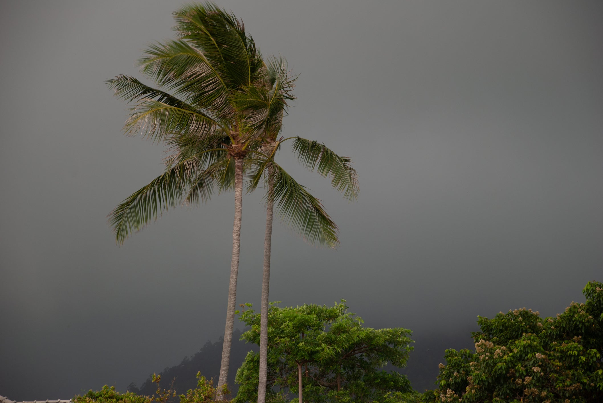 Pineapple Express Weather Phenomenon