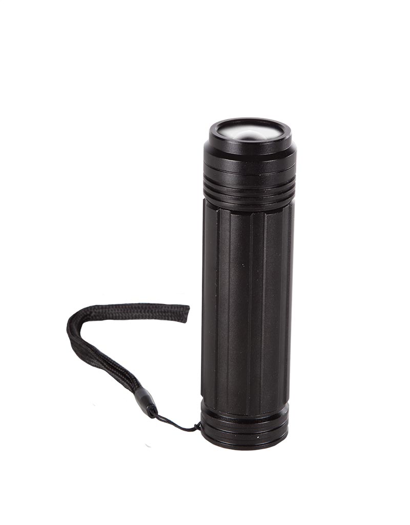 Flashlight/Area Light Cree  - 200 Lumens with Batteries