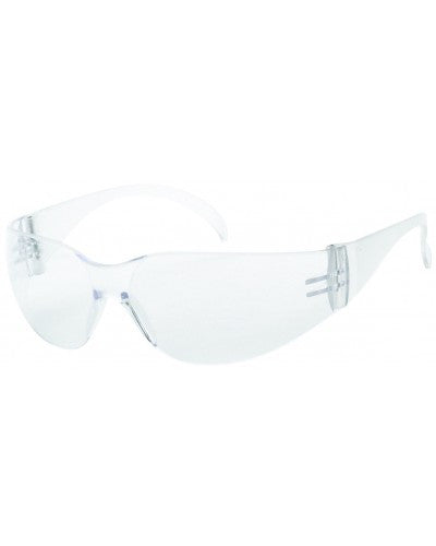 Clear Anti-Fog Lens - Wrap-Around Style Safety Glasses