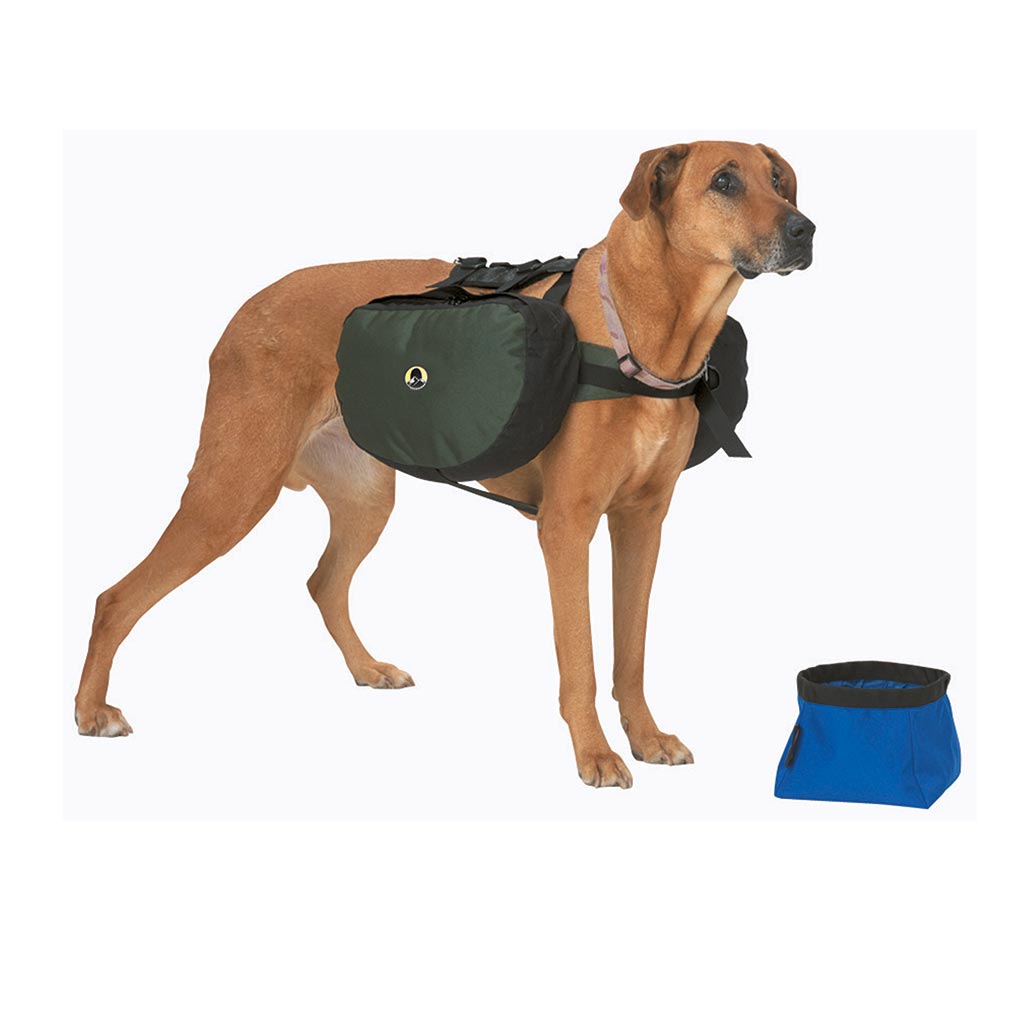 Collapsible Dog Bowl