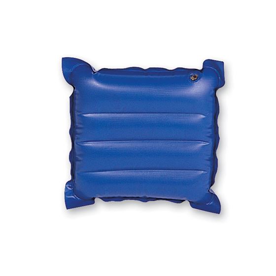 Vinyl Air Pillow/Cushion ƒ?? 15 In X 15 In