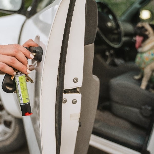 Protector Dog Spray with Key Ring