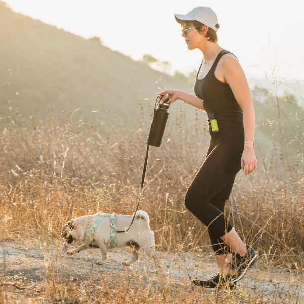 Protector Dog Spray with Belt Clip
