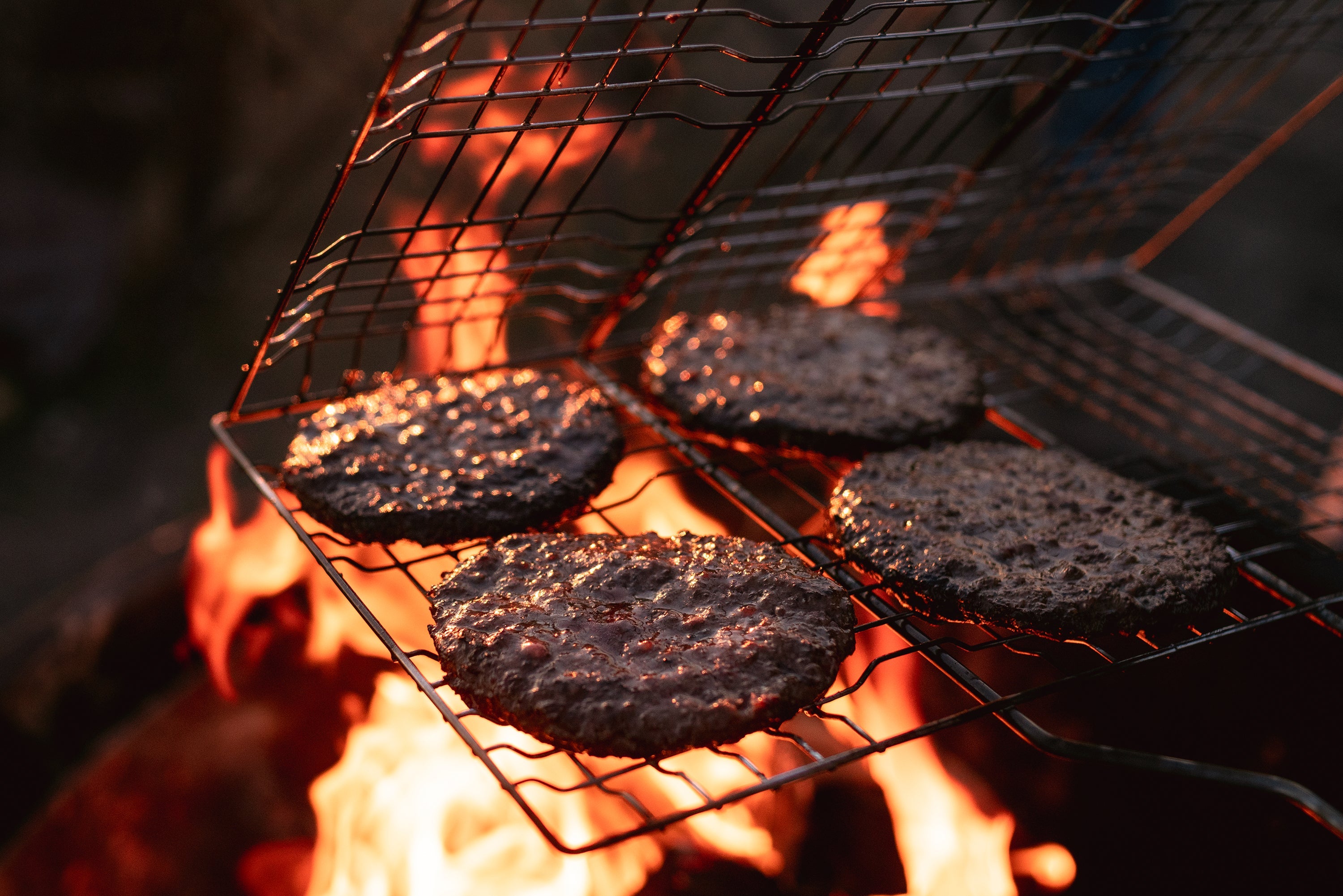 Deluxe Cooking Broiler