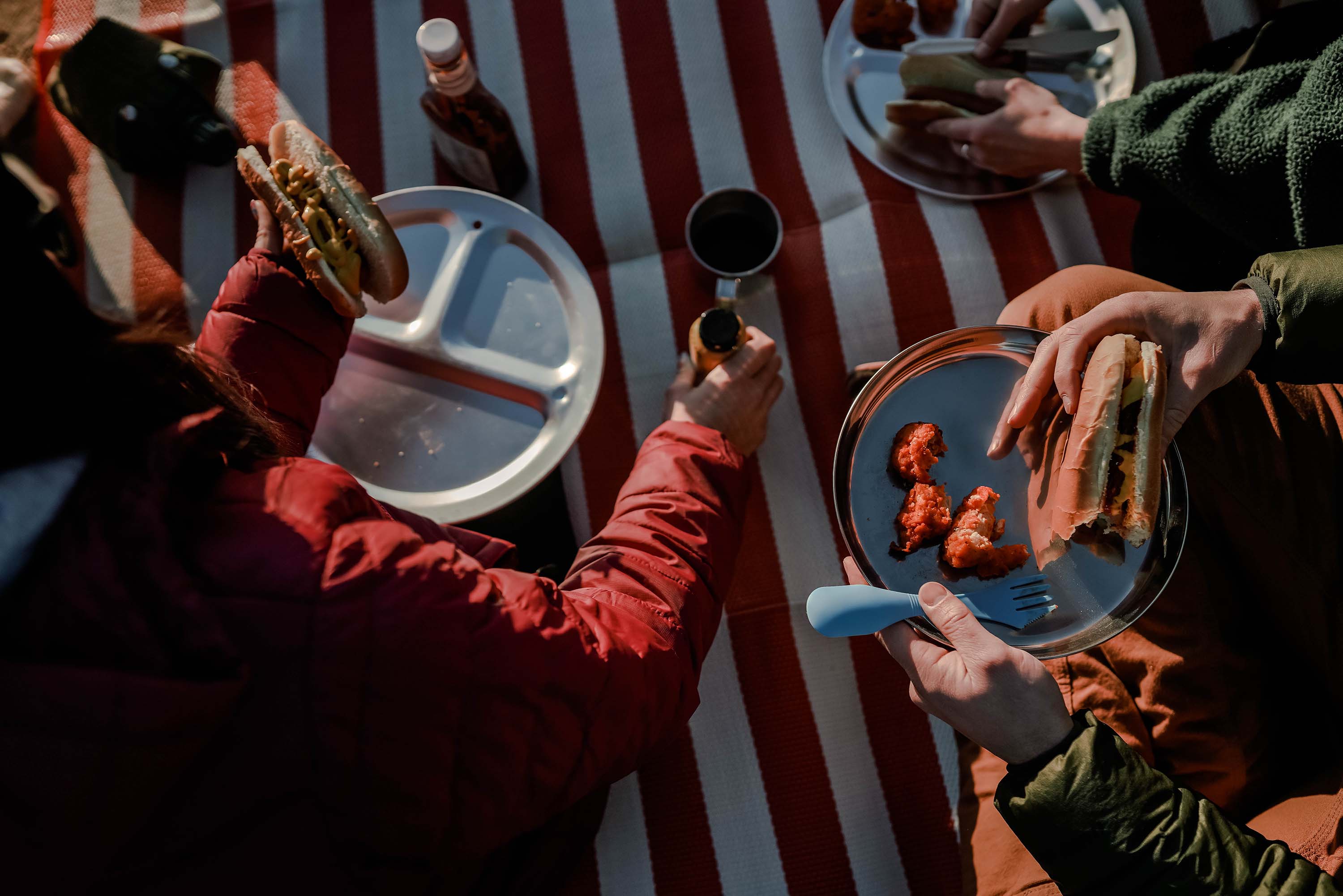 Stainless Steel Plate - 9 In