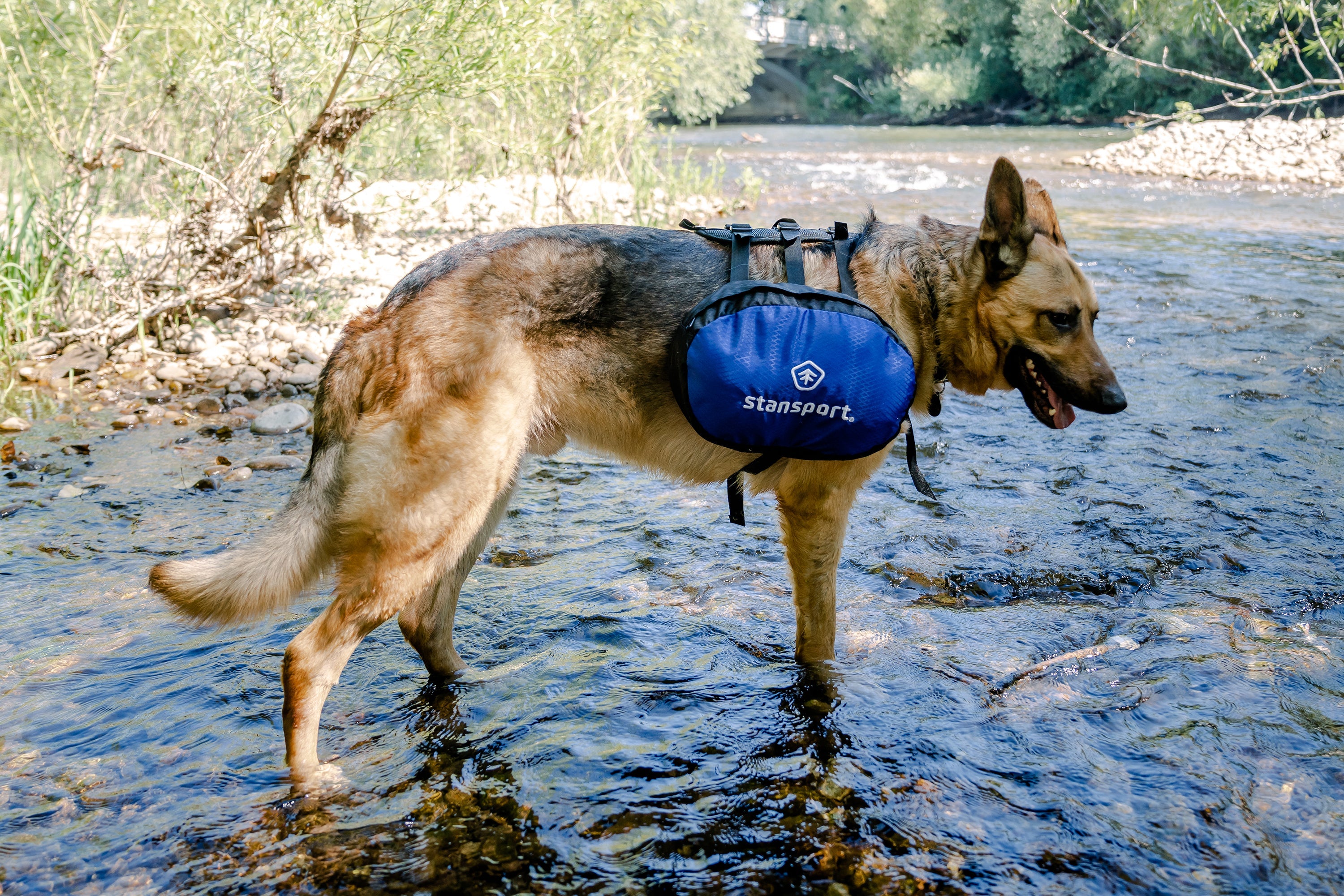 Saddle Bag For Dogs