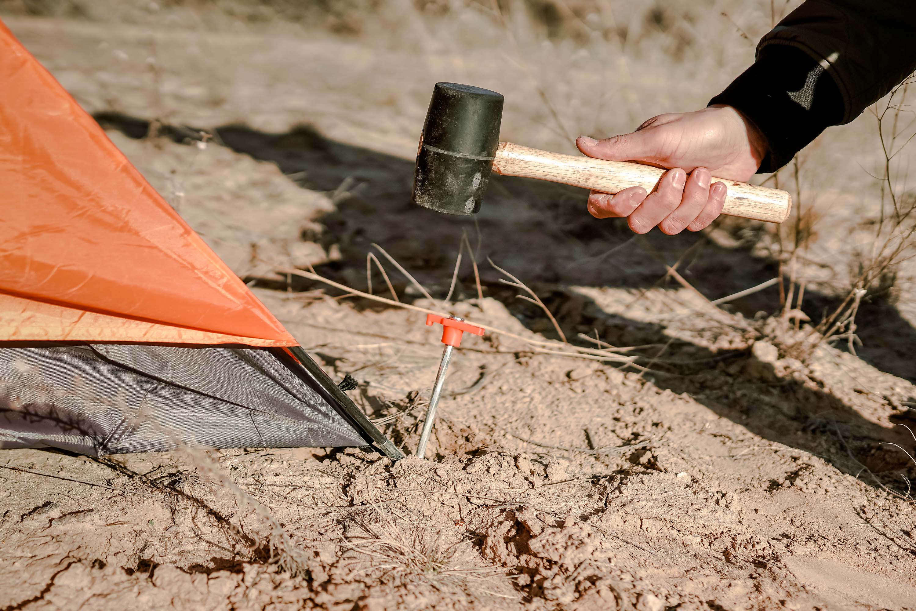 Twisted Nail Stake With T-Top - 50 Pack