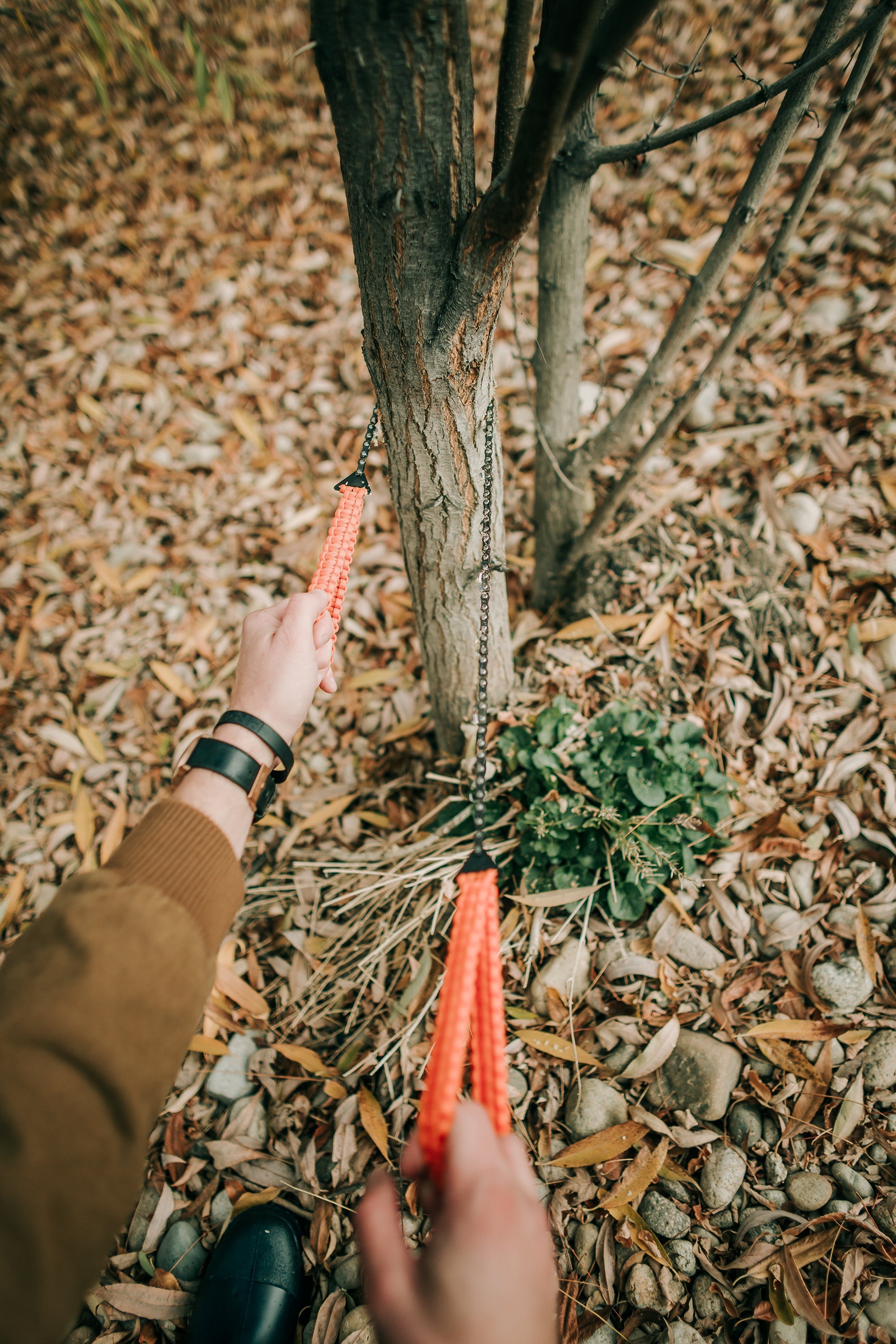 Chain Saw