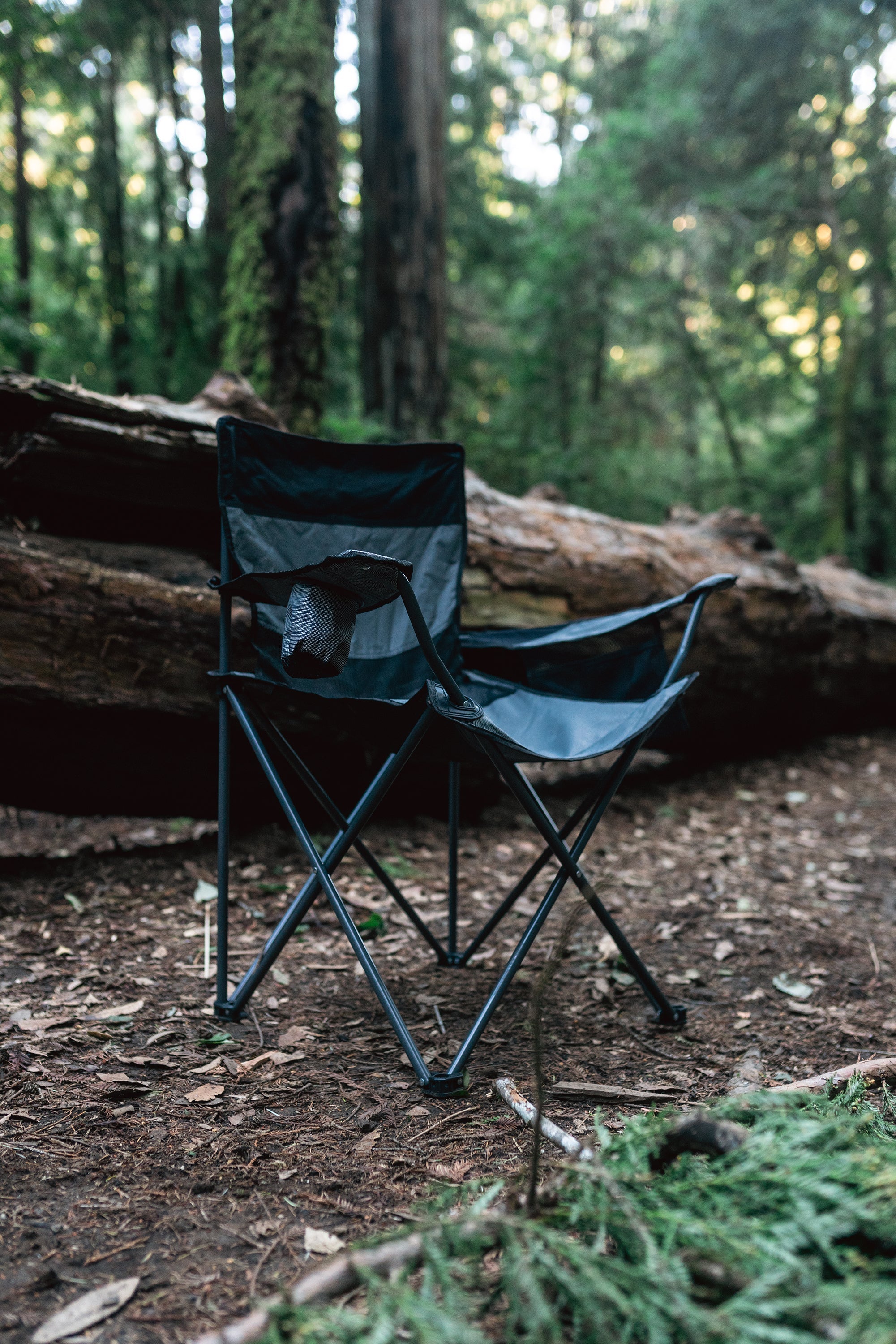 Apex Deluxe Oversize Arm Chair