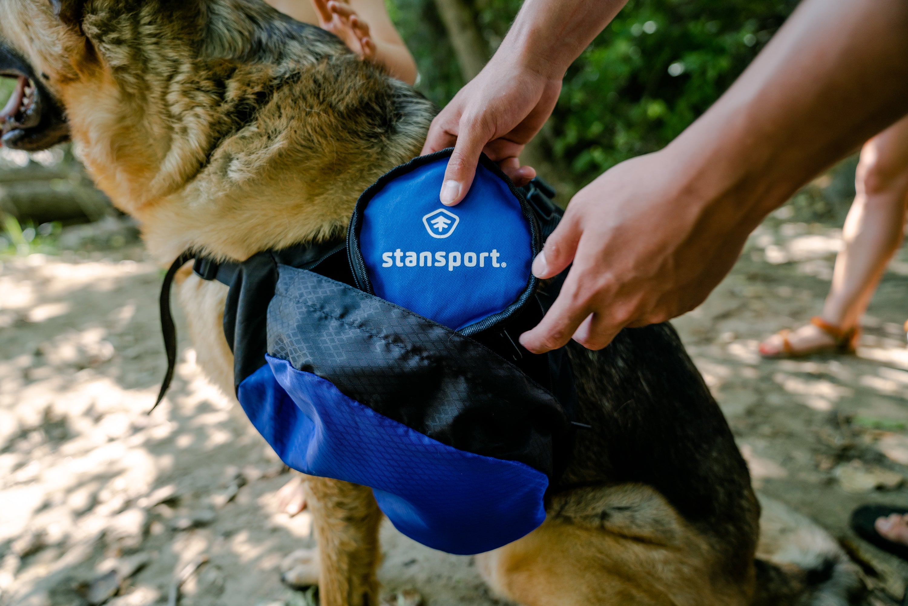 Saddle Bag For Dogs
