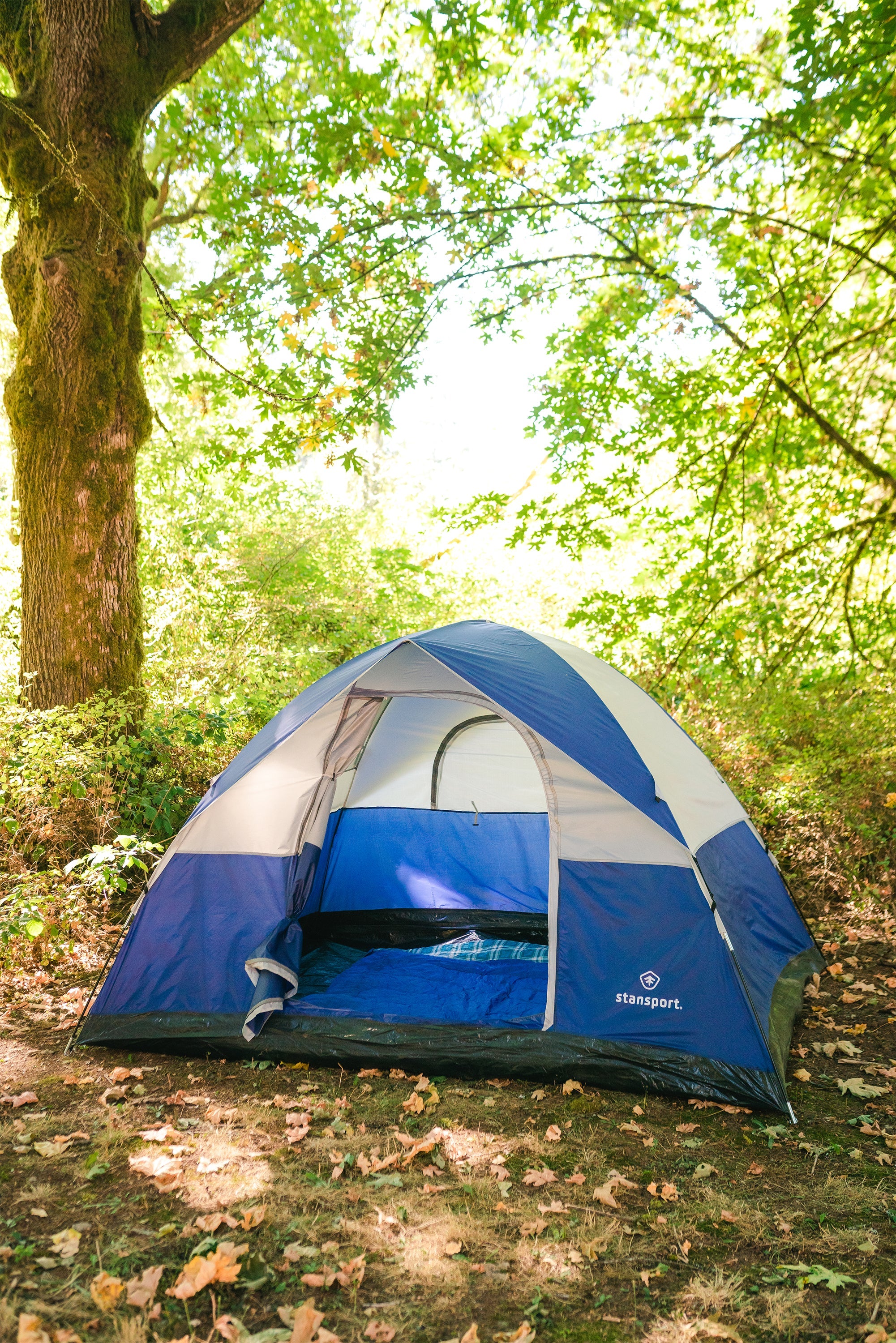 3 Season Tent - 8 X 10 X 6 Ft - Teton