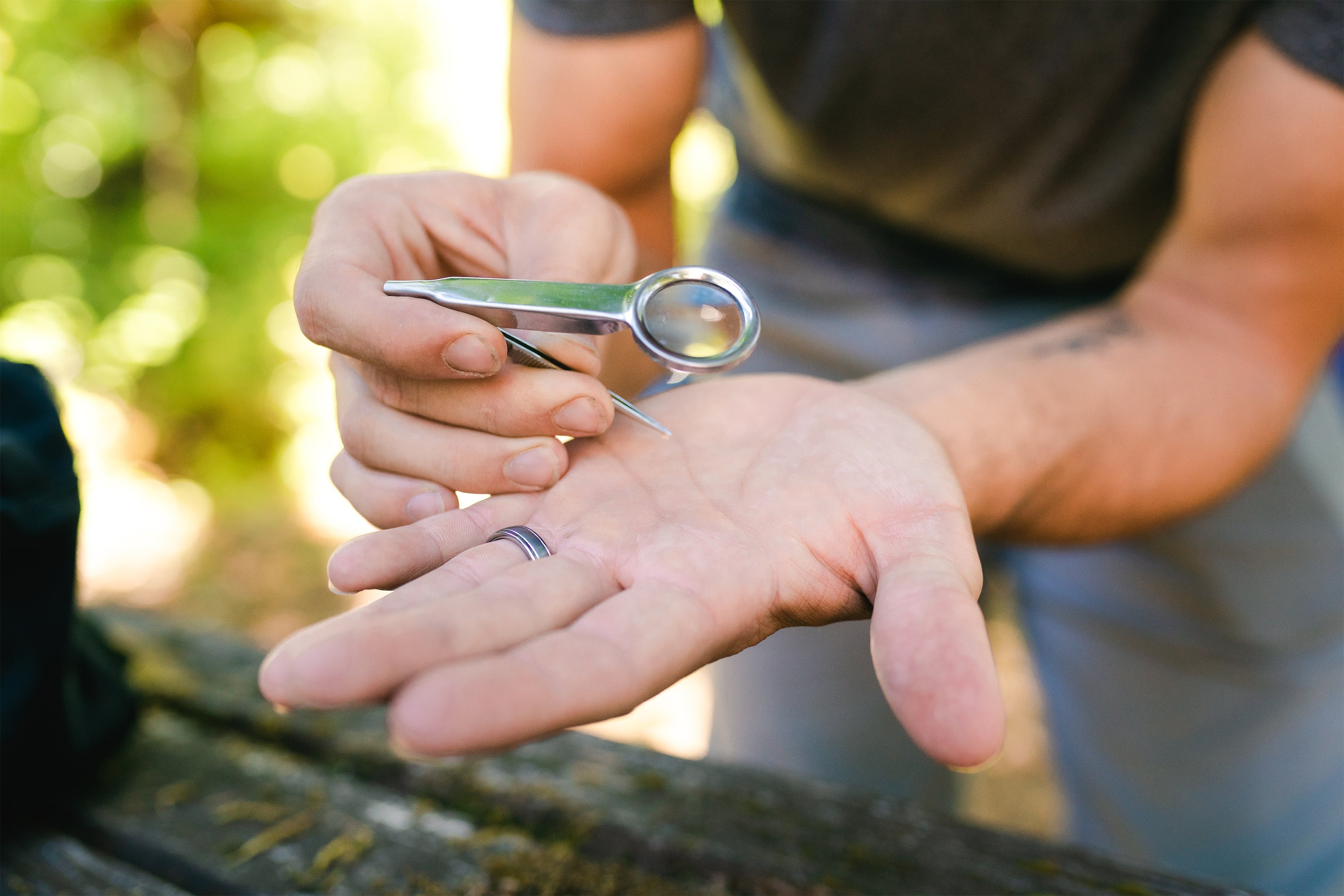 Magnifier And Tweezers Instrument