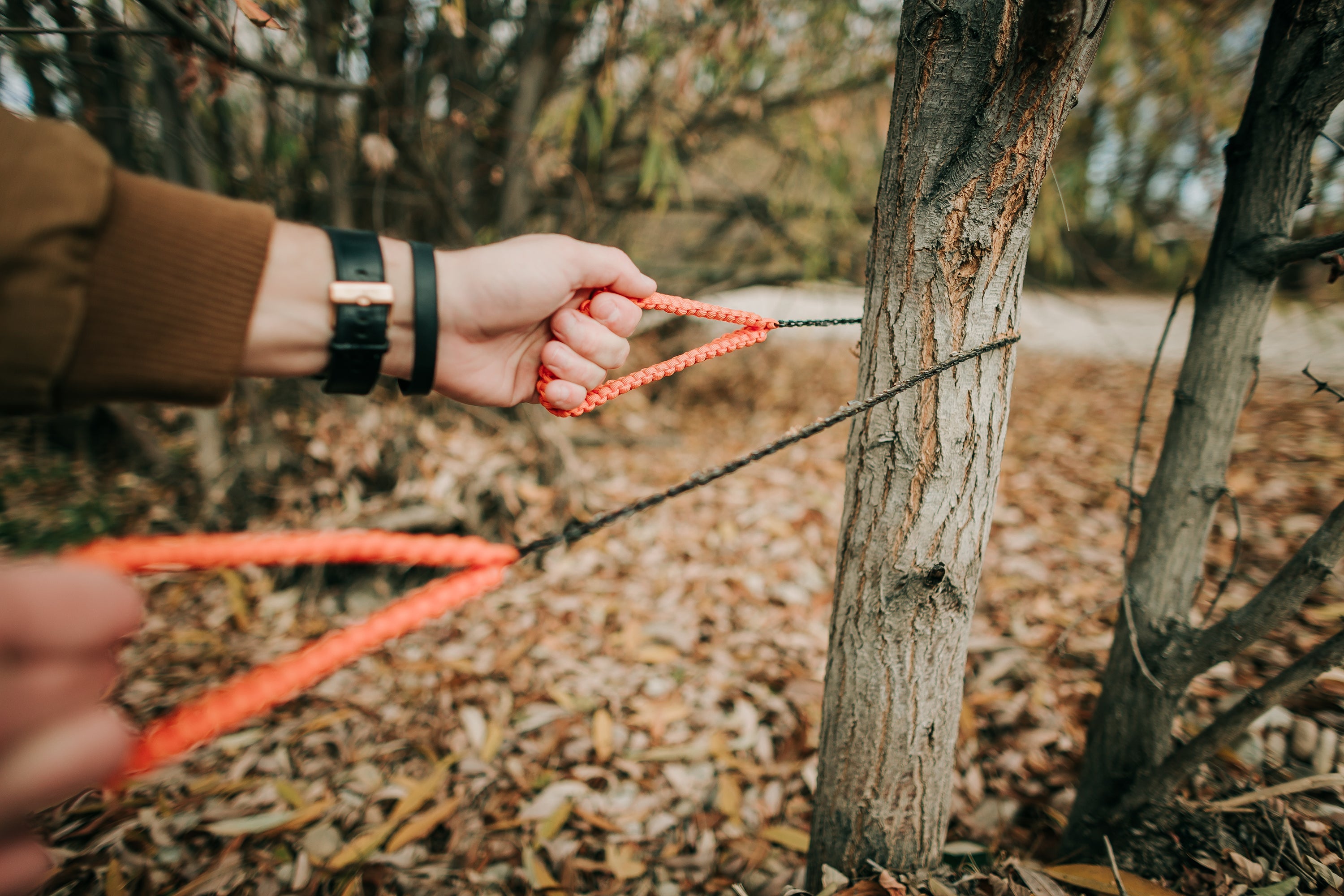 Chain Saw