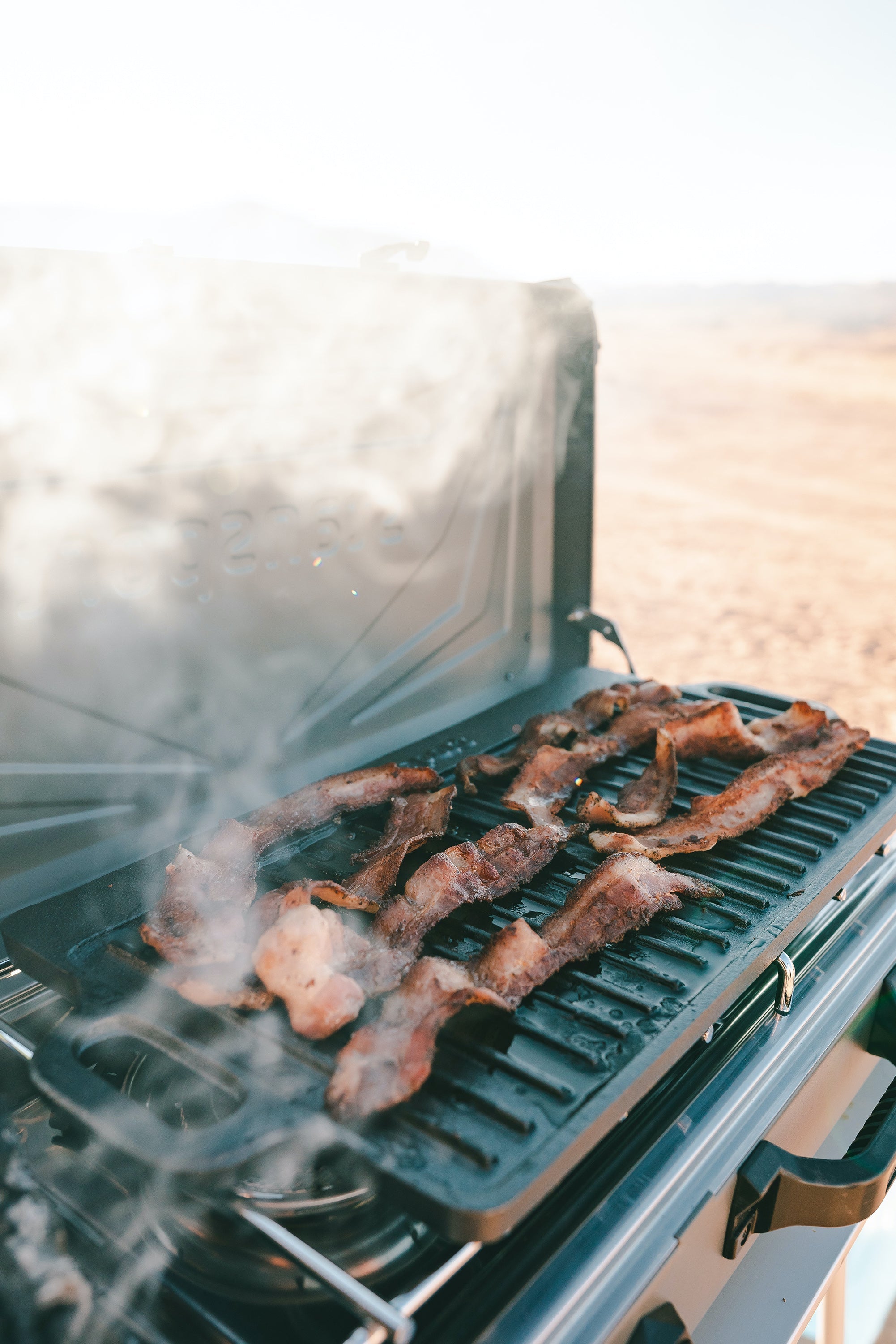 Cast Iron Griddle - 9 In X 20 In - Pre-Seasoned