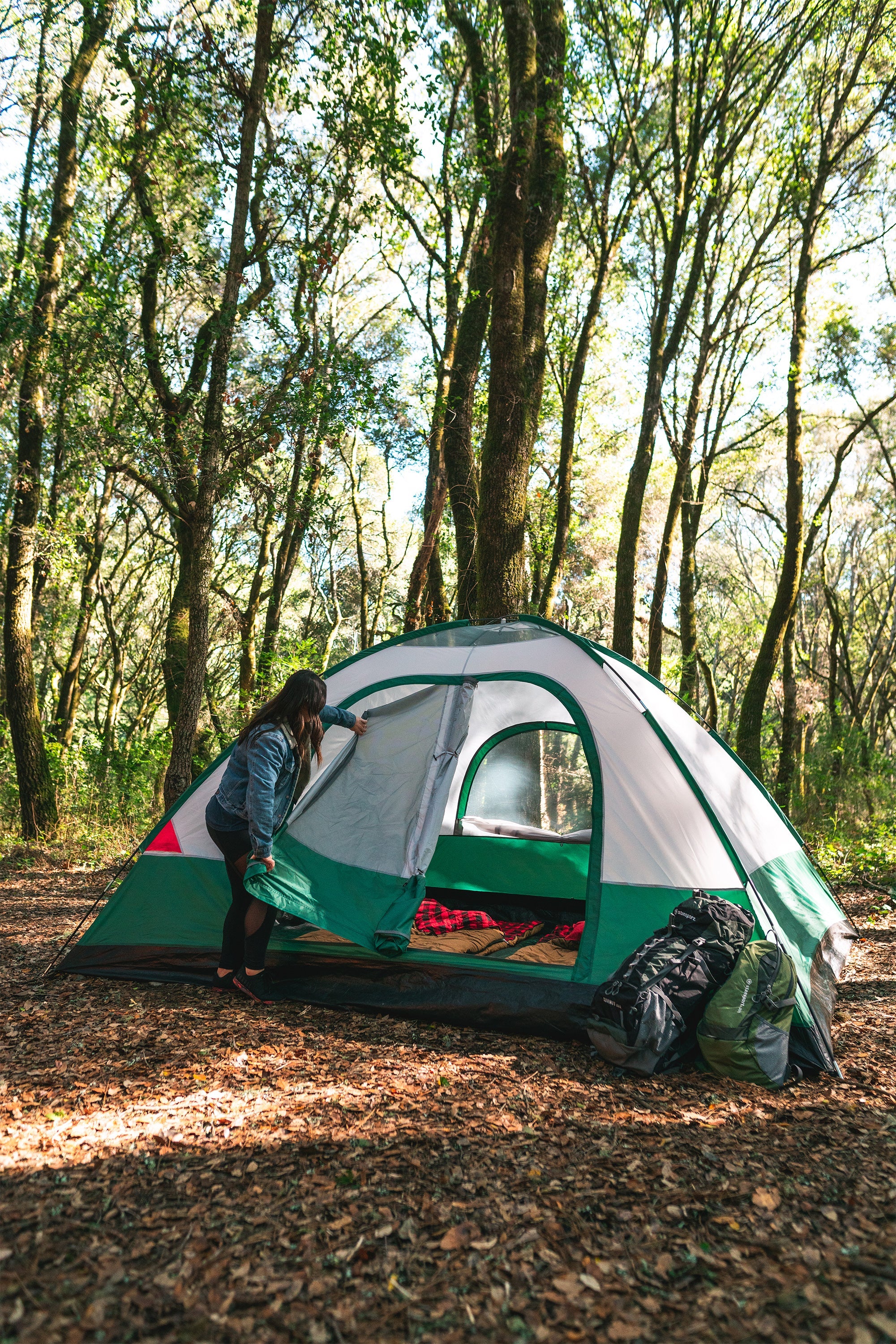 Teton 12 Family Tent - 2 Room - 10 Ft X 12 Ft X 72 Inch