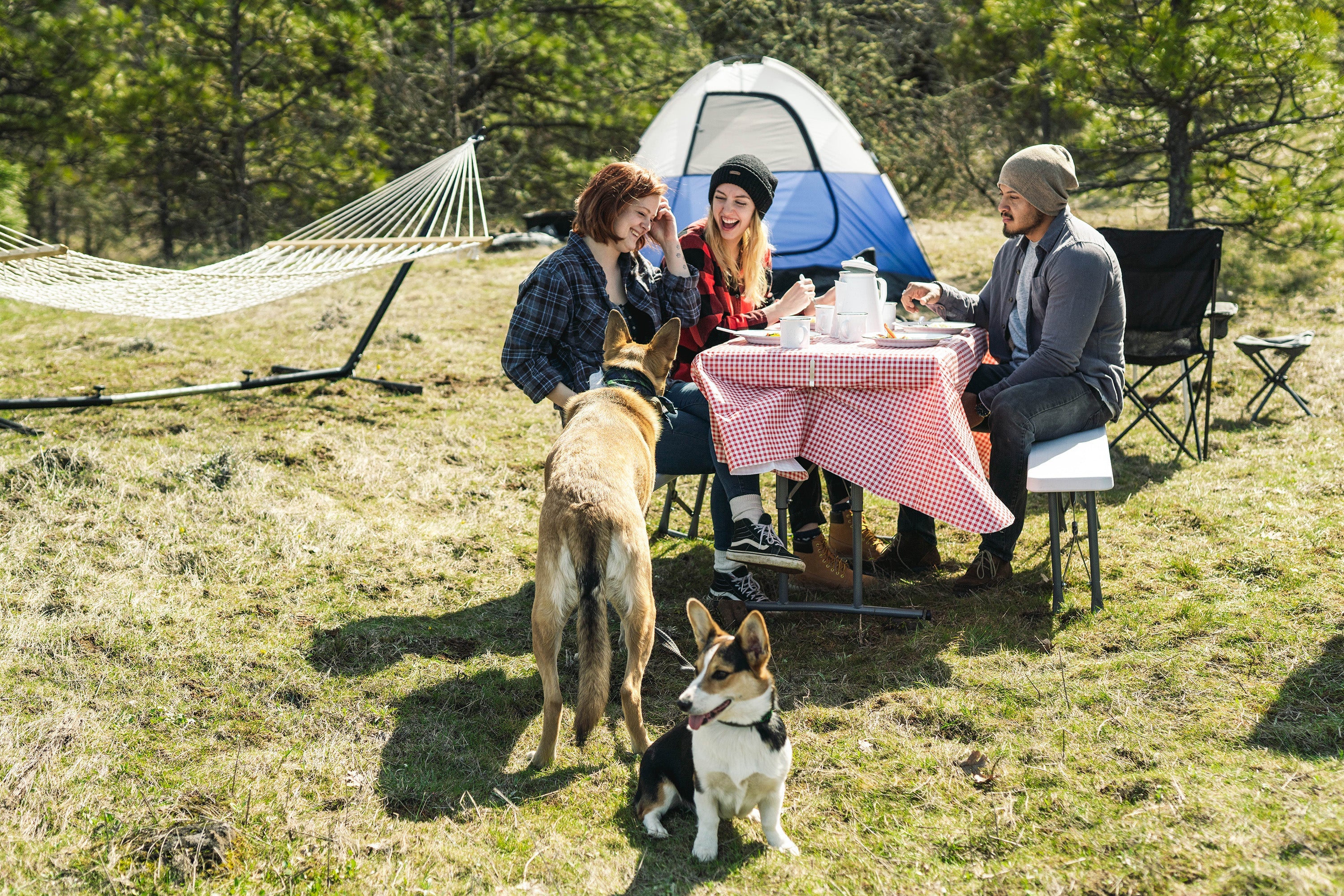 Picnic Table Cloth Combo