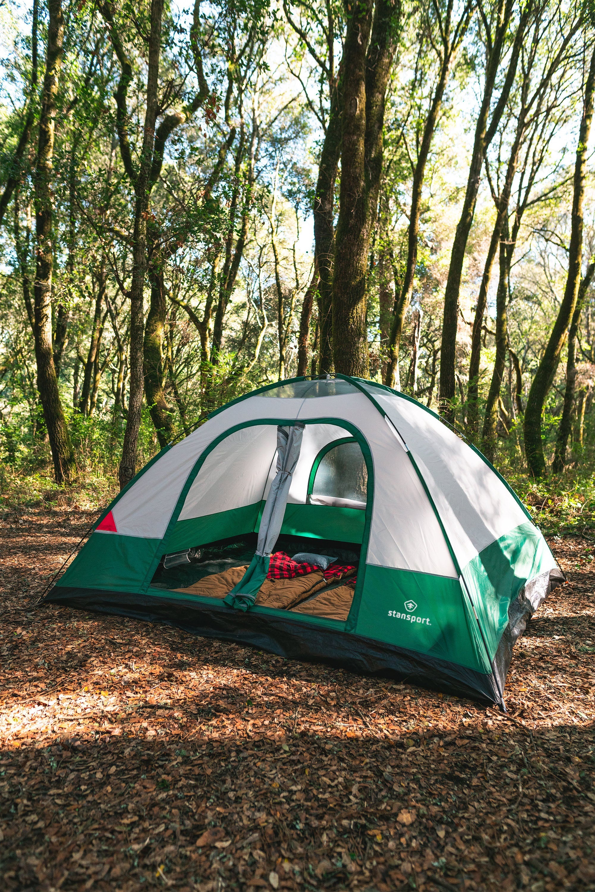 Teton 12 Family Tent - 2 Room - 10 Ft X 12 Ft X 72 Inch