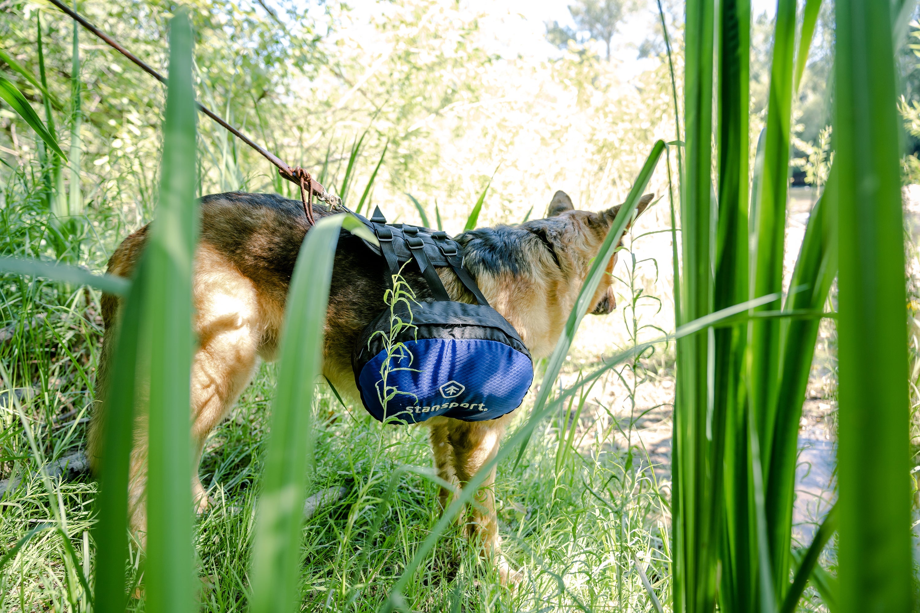 Saddle Bag For Dogs
