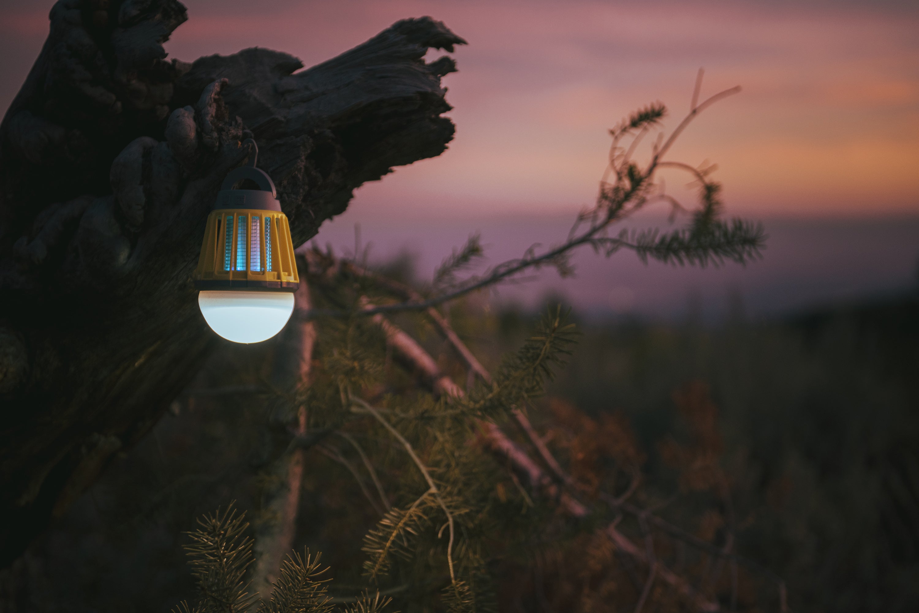 2 In 1 / Lantern/ Bug Zapper