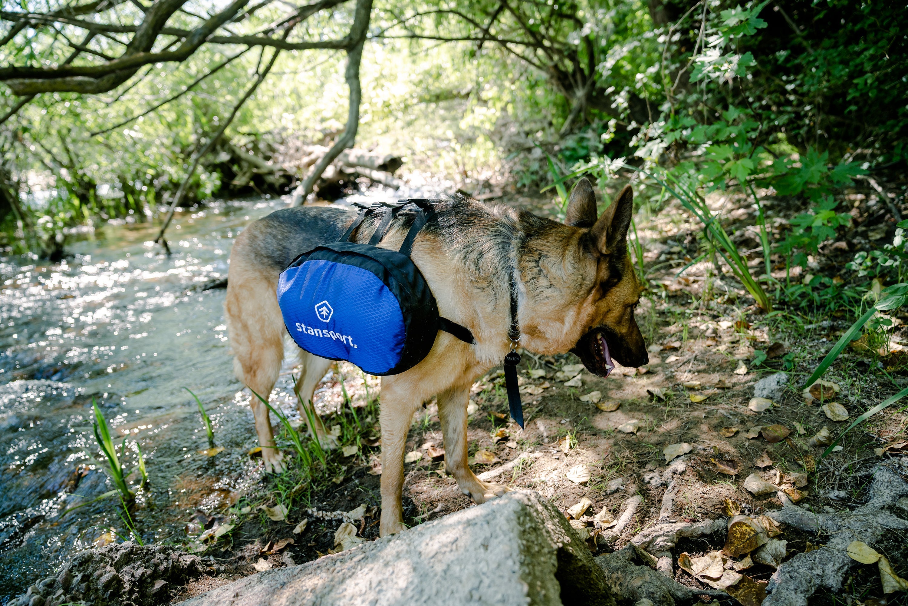Saddle Bag For Dogs