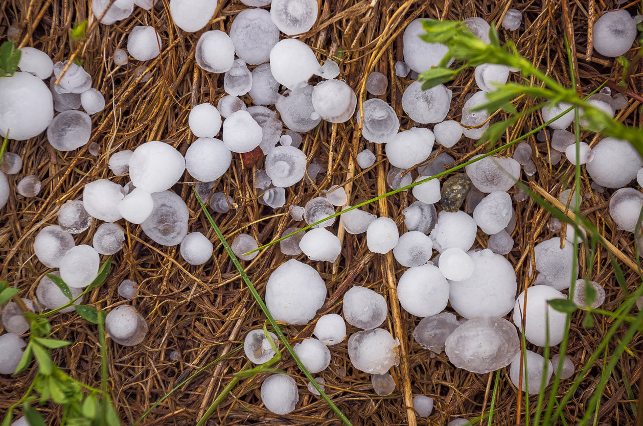 Tennis Ball Sized Hail Pounds Lake In Minnesota