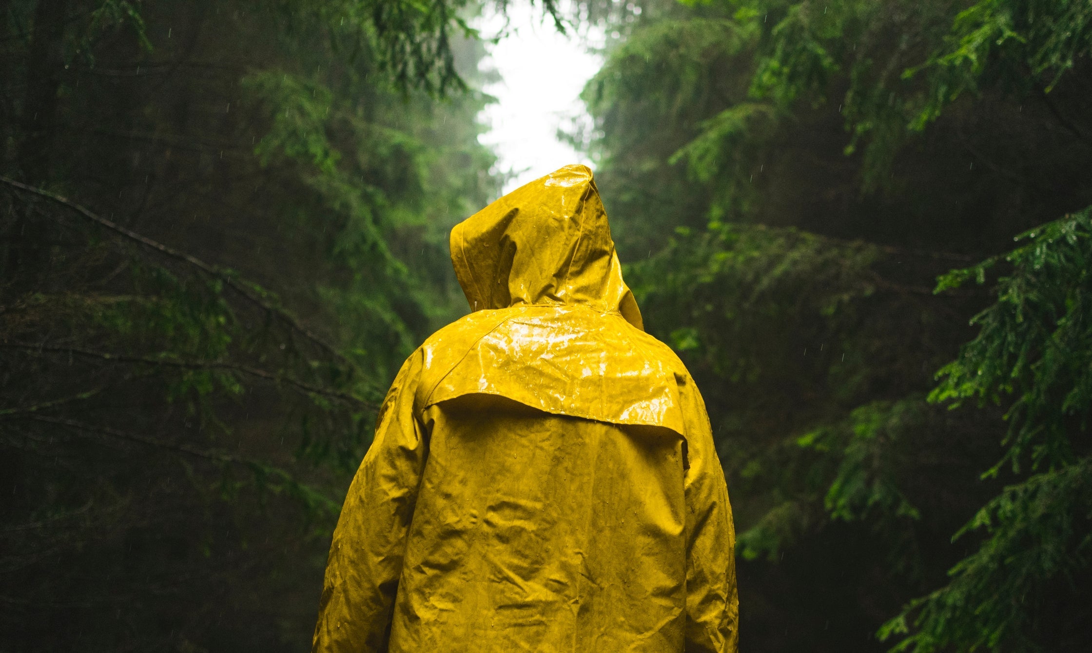 Vinyl Rainsuit: The Ultimate Weather Protection Gear