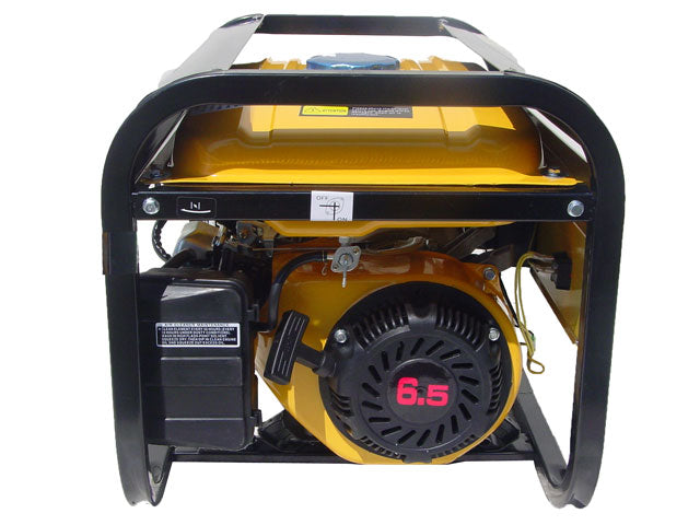 3000 Watt Portable Gasoline Generator
